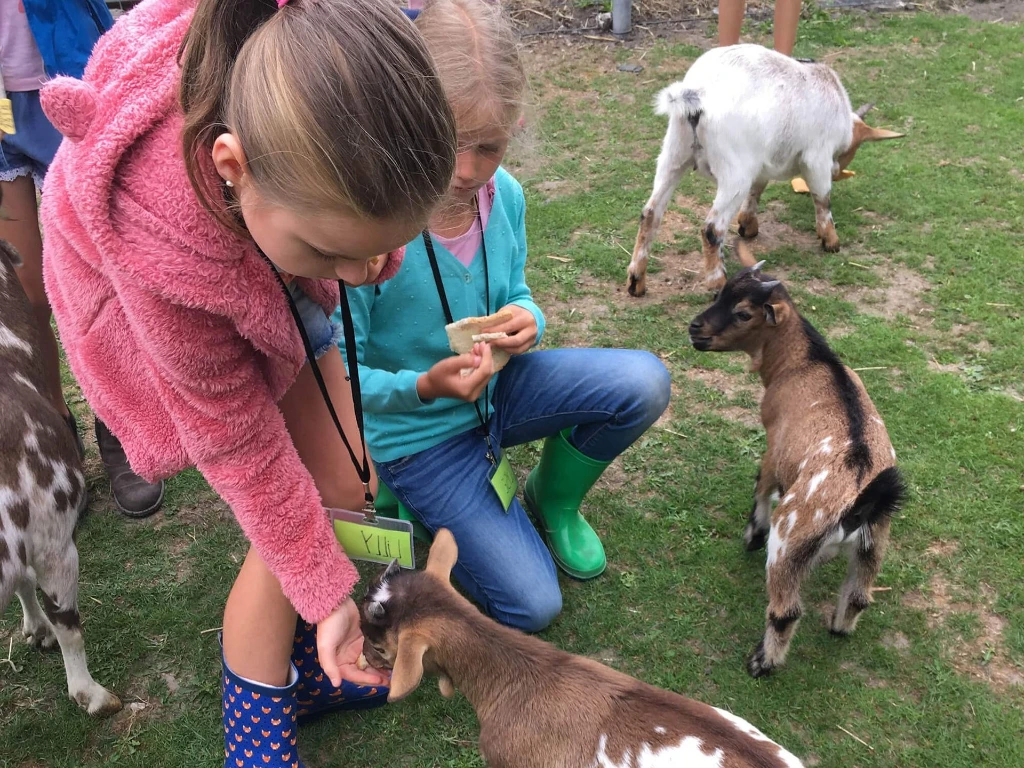 Leerlingen leren dieren kennen tijdens boerderijklassen